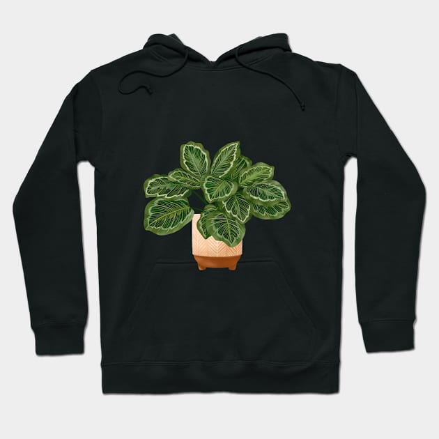 Calathea Medallion- Prayer Plant, Potted Plant Illustration Hoodie by gusstvaraonica